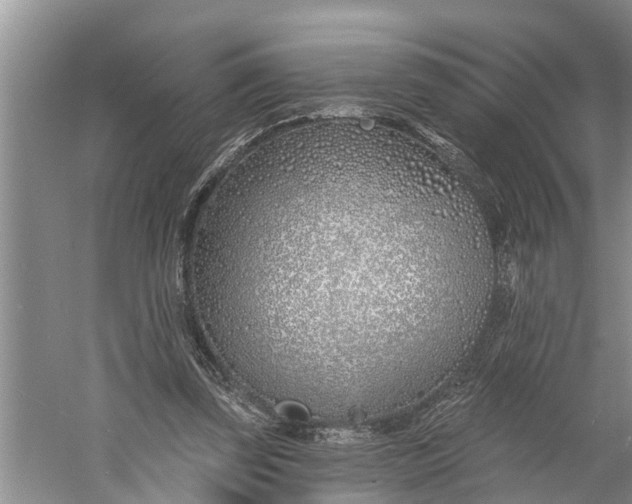 X0000060580347200511171703