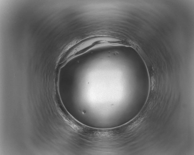 X0000060580349200511171703