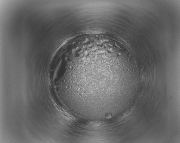 X0000060580351200511171703