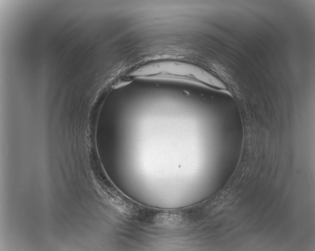 X0000060580354200511171703