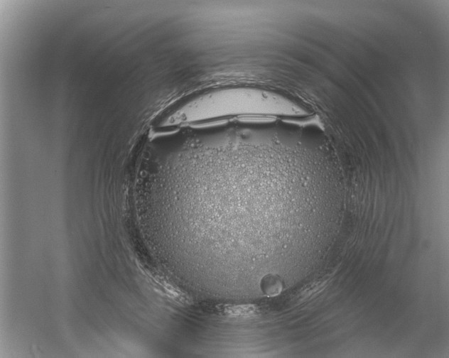 X0000060580355200511171703