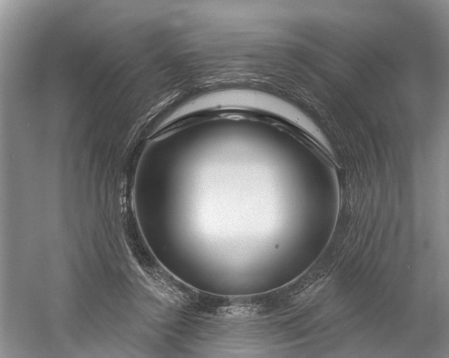 X0000060580356200511171703