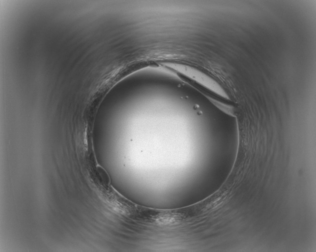 X0000060580358200511171703