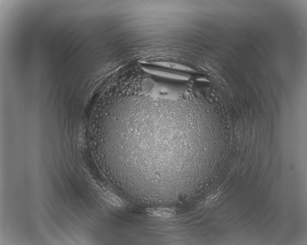 X0000060580359200511171703