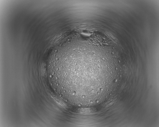 X0000060580361200511171703