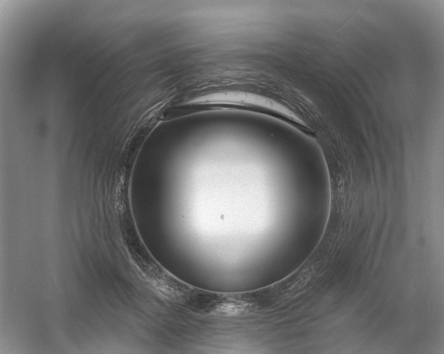 X0000060580364200511171703