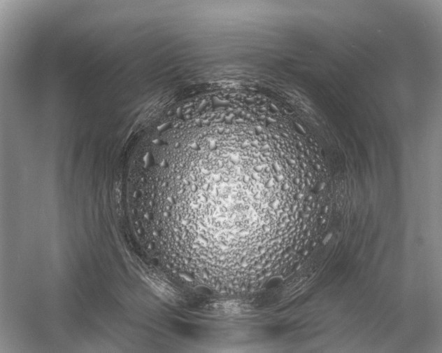 X0000060580365200511171703