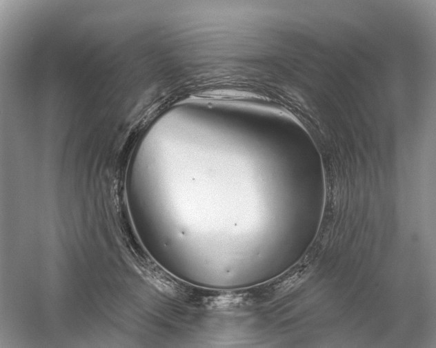 X0000060580366200511171703