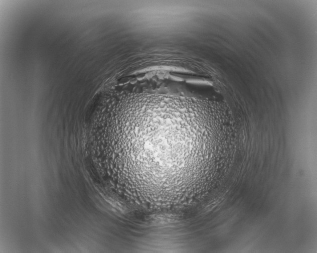 X0000060580367200511171703