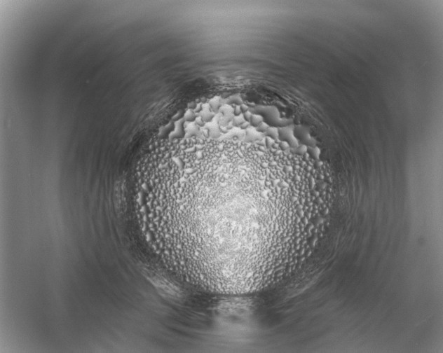 X0000060580369200511171703