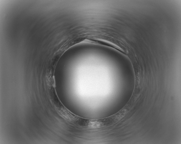 X0000060580376200511171704