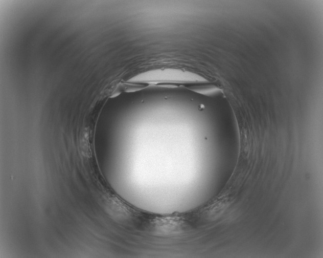 X0000060580378200511171704