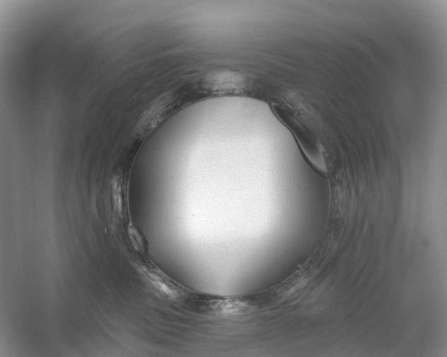 X0000060580379200511171704