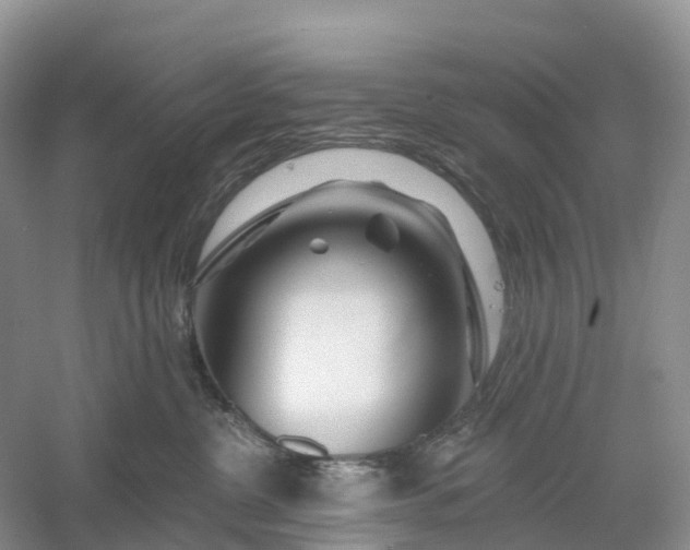 X0000060580380200511171704