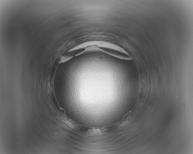 X0000060580381200511171704