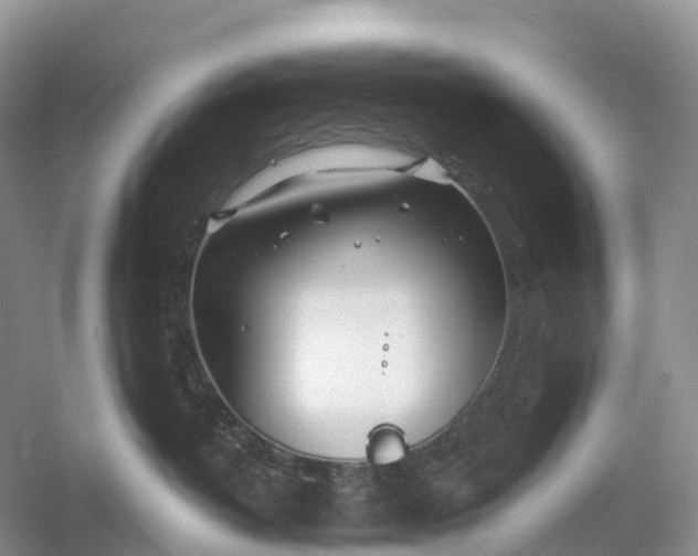 X0000060580382200511171704