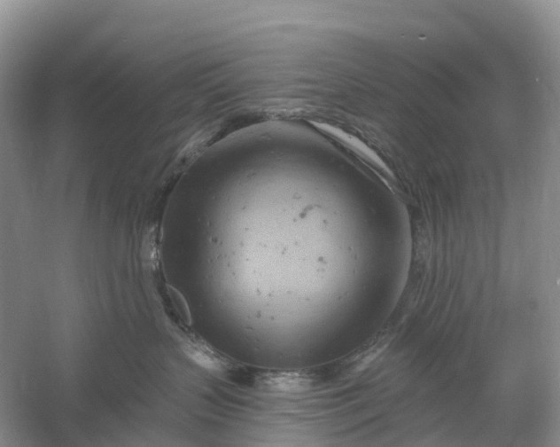 X0000060580383200511171704