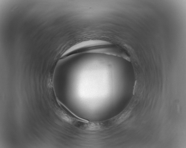 X0000060580384200511171704