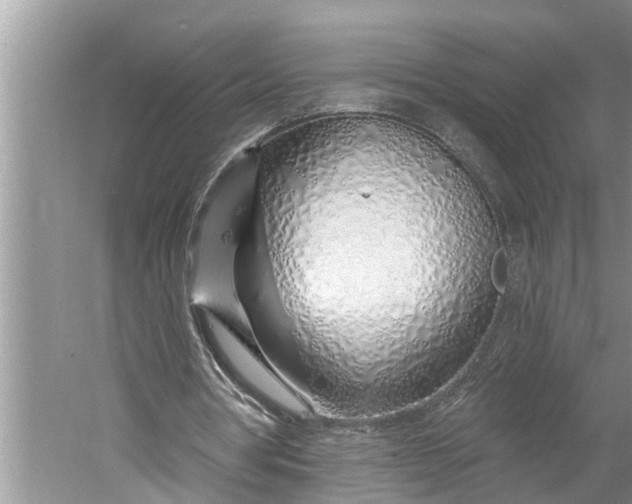 X0000060580386200511171703