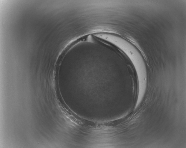 X0000060580387200511171703