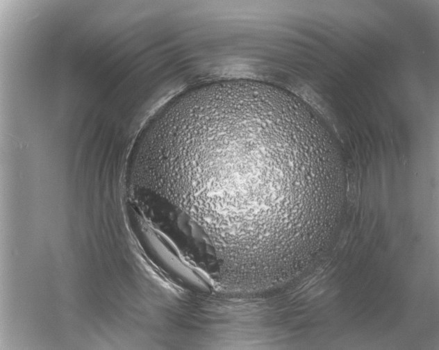 X0000060580390200511171703