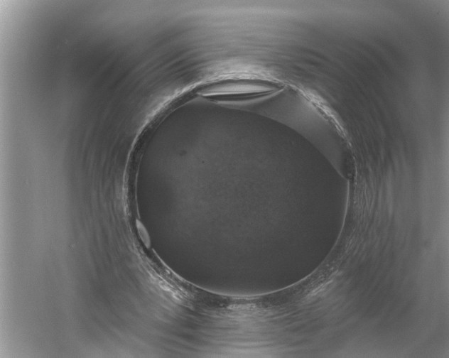 X0000060580391200511171703