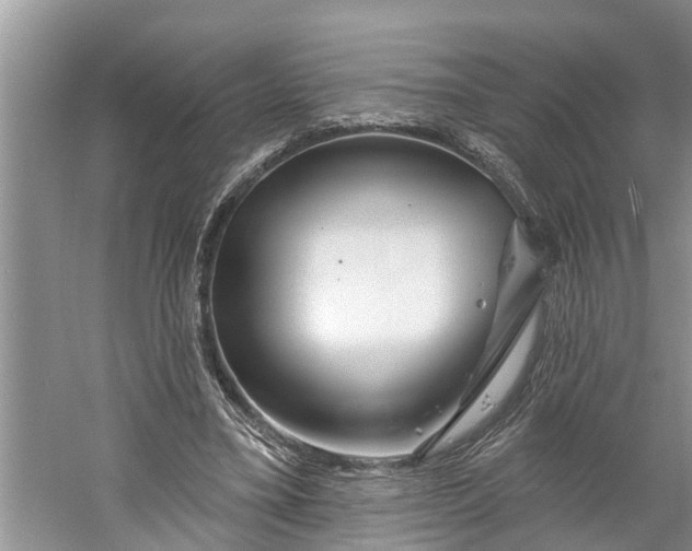 X0000060580395200511171703