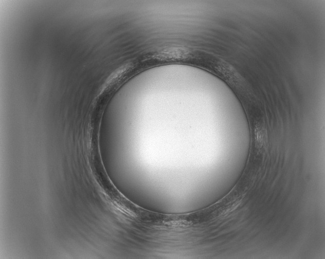 X0000060580396200511171703