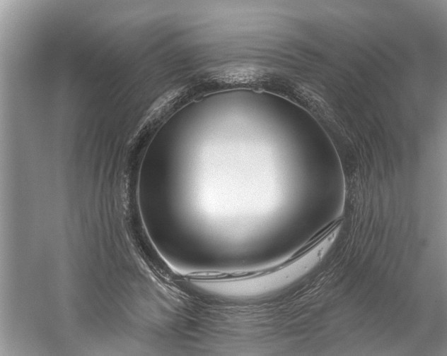 X0000060580400200511171703