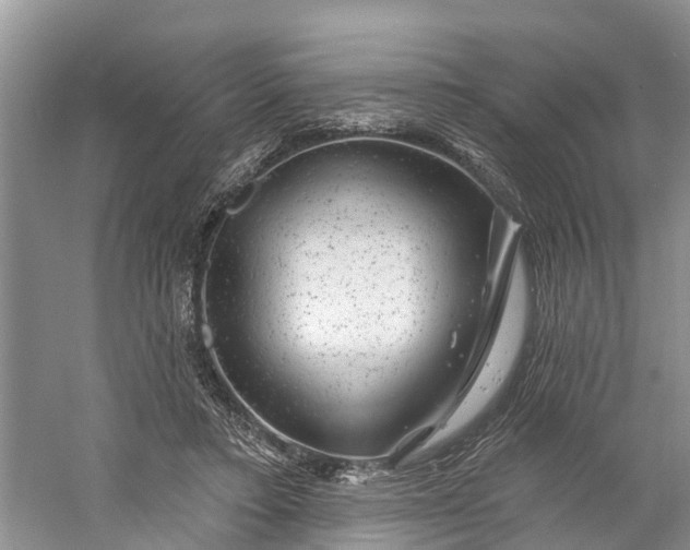 X0000060580403200511171703