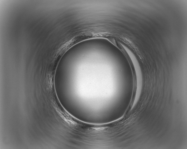 X0000060580405200511171703