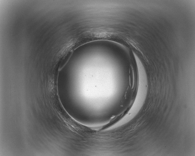 X0000060580407200511171703