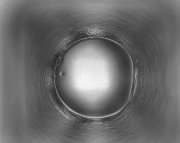 X0000060580408200511171702