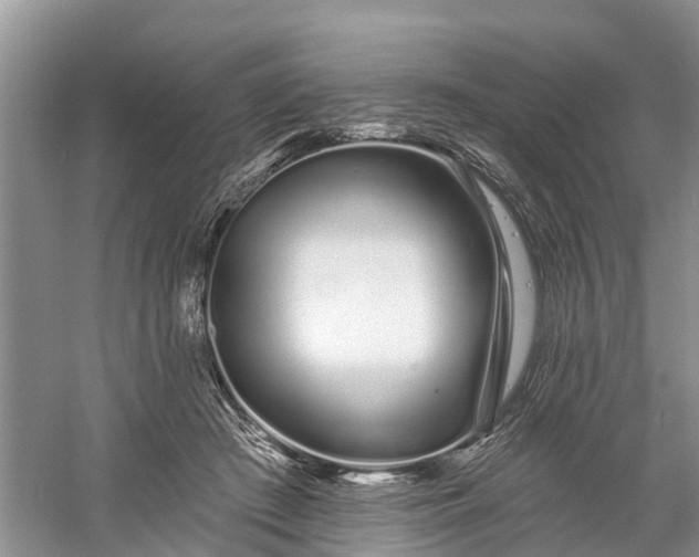 X0000060580409200511171702