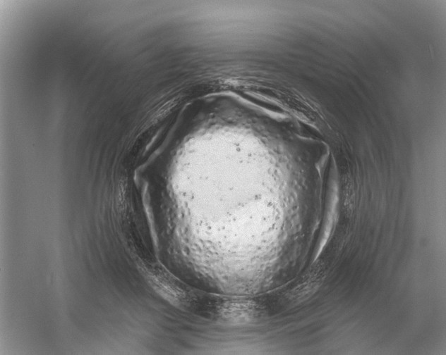 X0000060580410200511171702