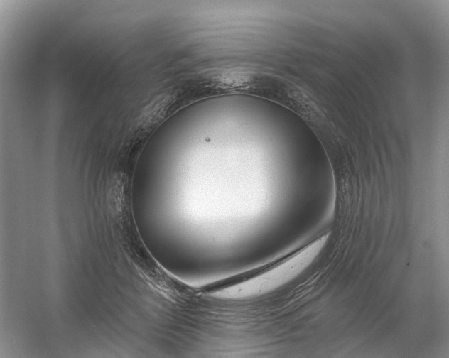 X0000060580412200511171702