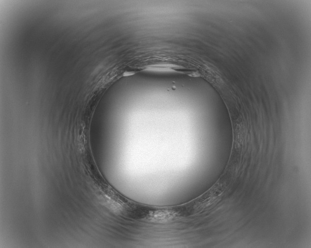 X0000060580414200511171702