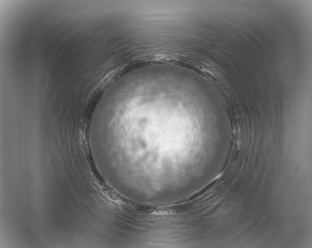 X0000060580415200511171702