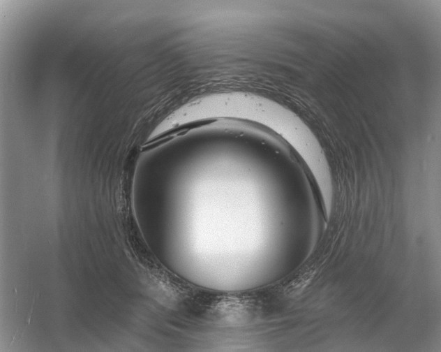 X0000060580416200511171702