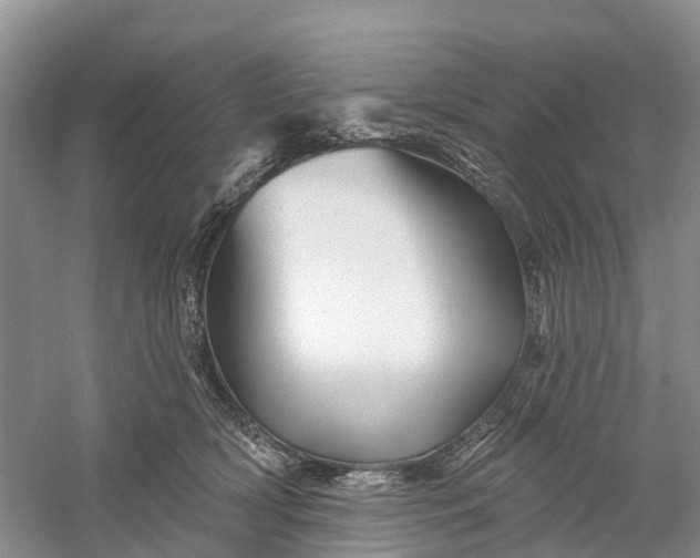 X0000060580418200511171702