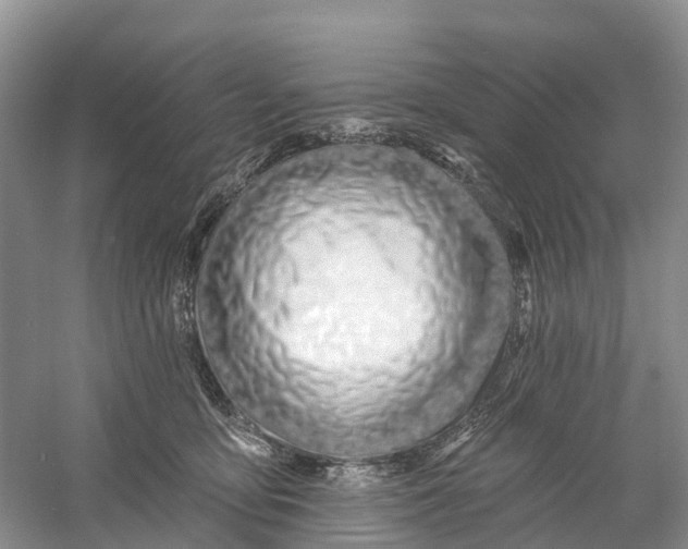 X0000060580419200511171702