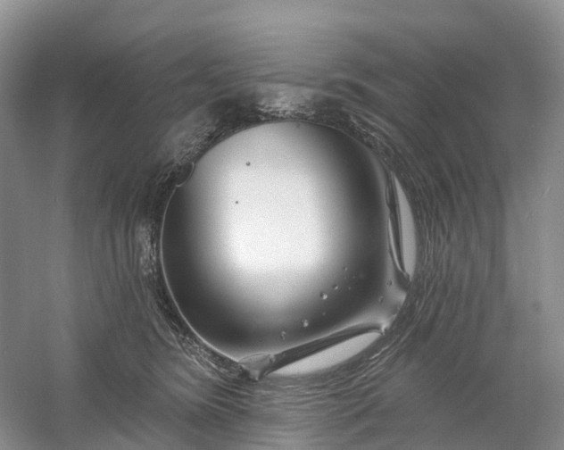 X0000060580420200511171702