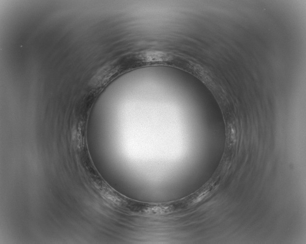 X0000060580422200511171702