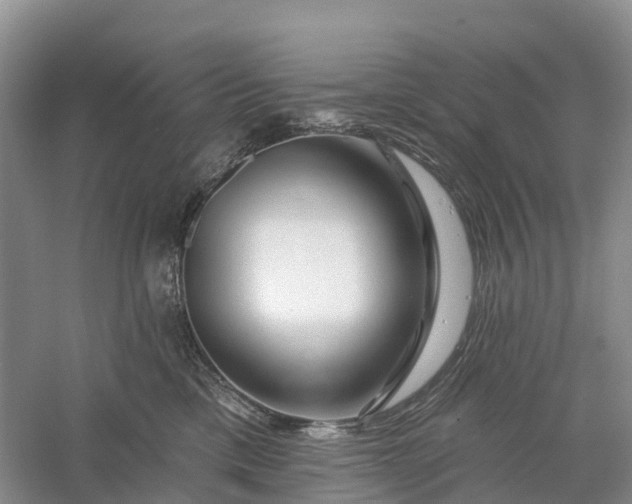 X0000060580425200511171702