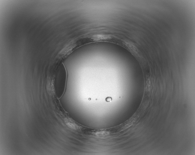 X0000060580426200511171702