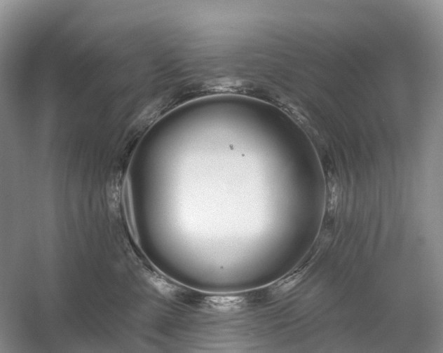 X0000060580427200511171702