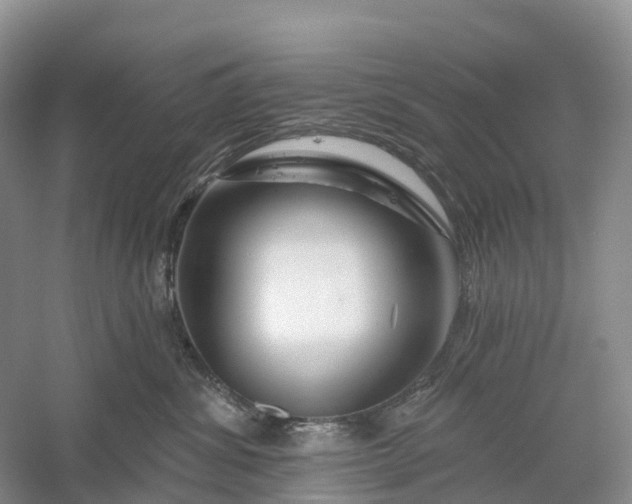 X0000060580428200511171702