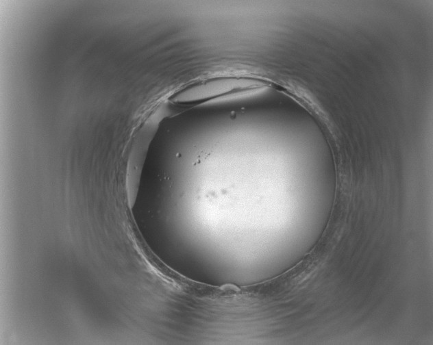 X0000060580433200511171701