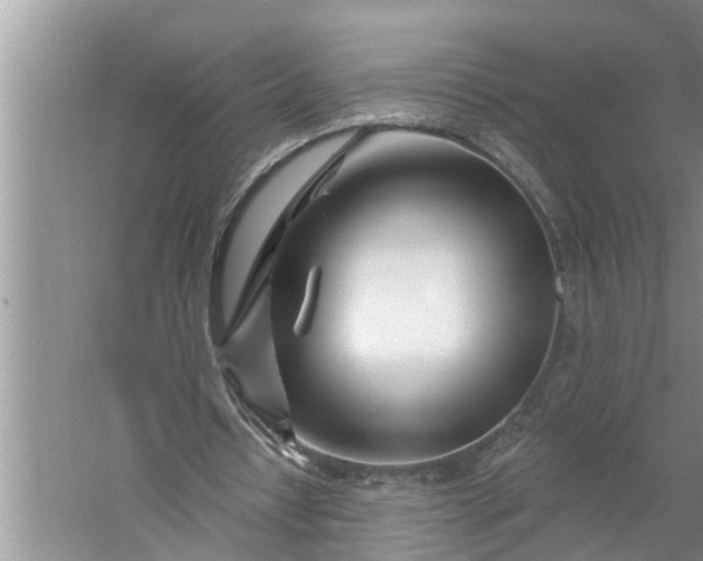 X0000060580434200511171701