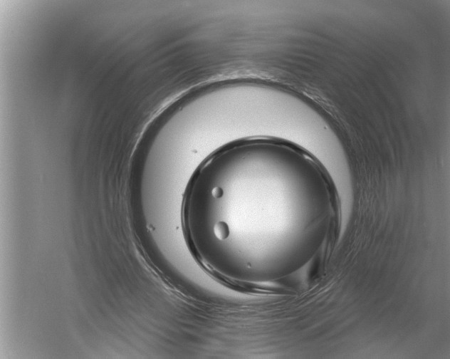 X0000060580440200511171701